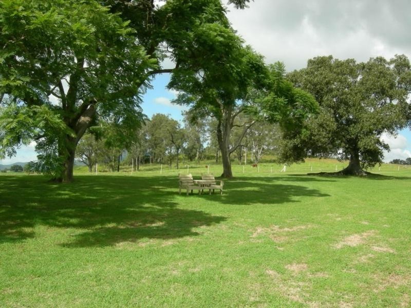 Kimbriki NSW 2429