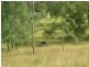 Nabiac NSW 2312
