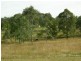 Nabiac NSW 2312