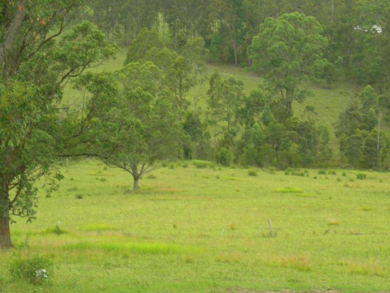 Dyers Crossing NSW 2429