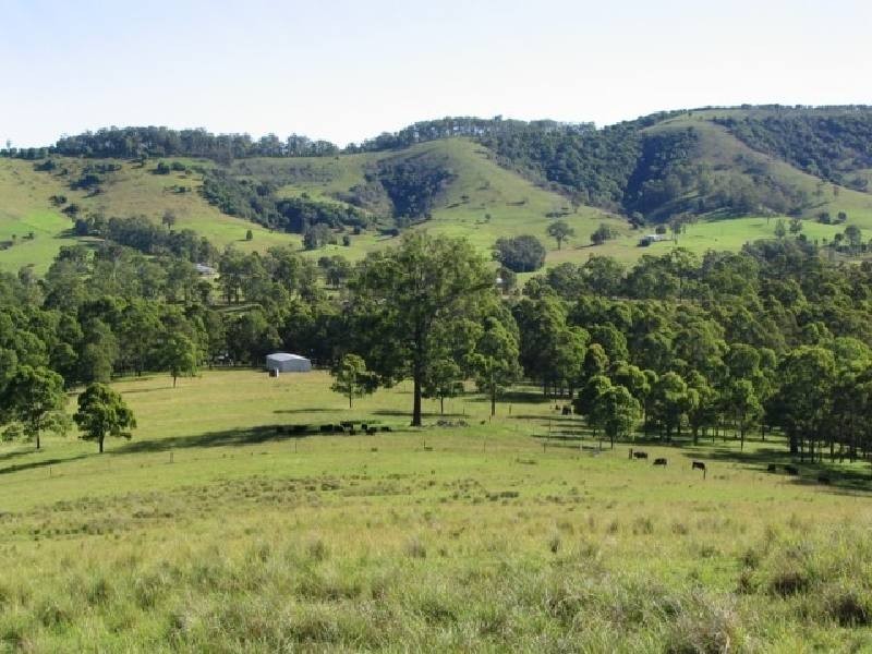 Dyers Crossing NSW 2429