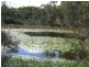 Failford NSW 2430