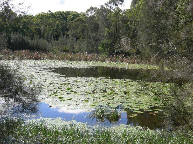 Failford NSW 2430