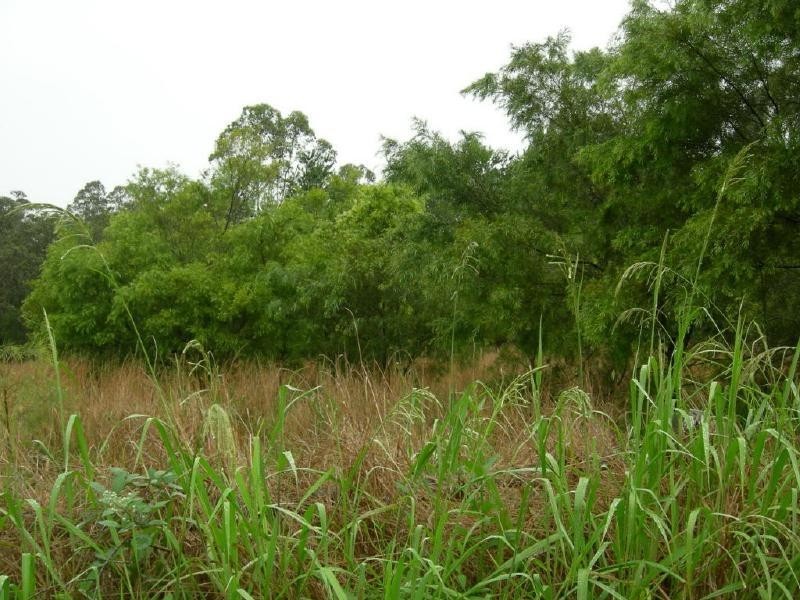 Coolongolook NSW 2423