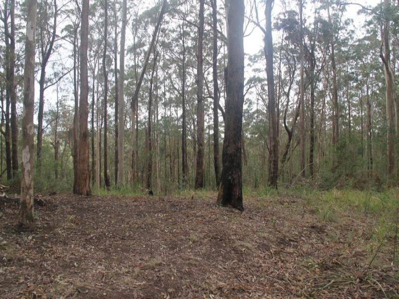 Dyers Crossing NSW 2429