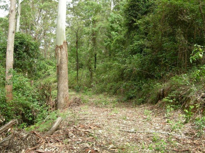 Dyers Crossing NSW 2429