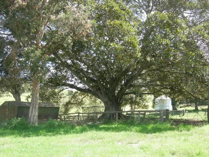 Burrell Creek NSW 2429