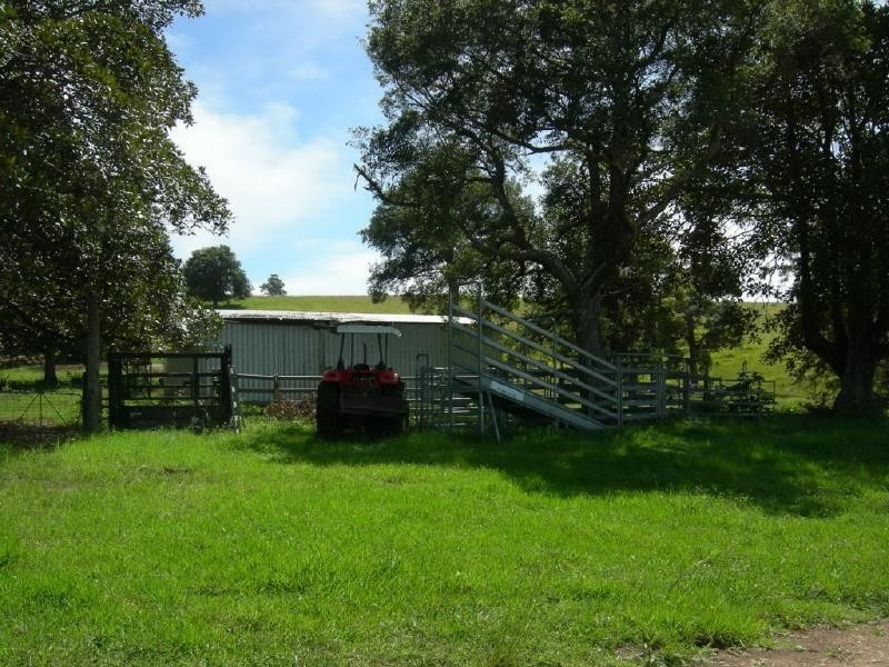 Burrell Creek NSW 2429