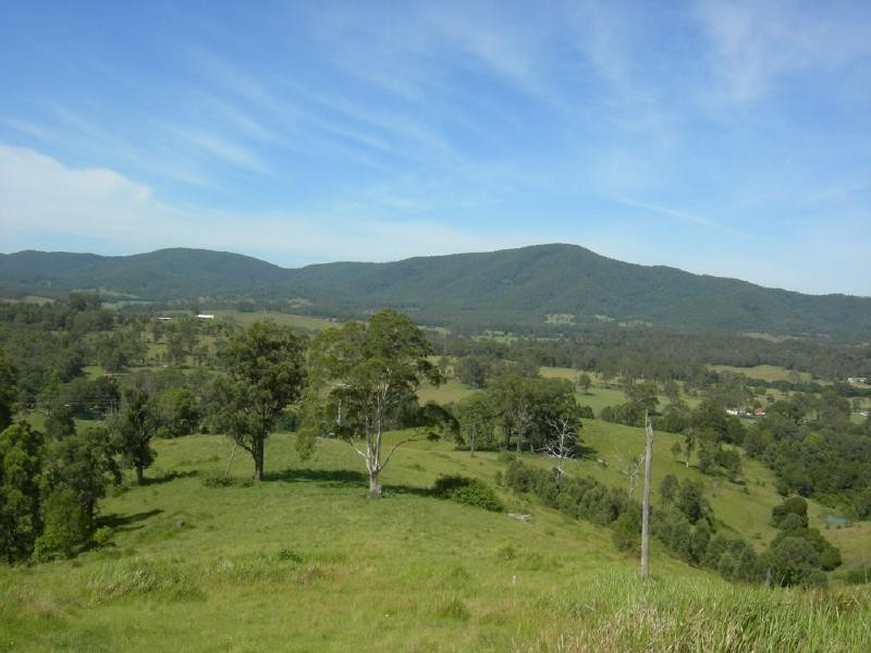 Burrell Creek NSW 2429