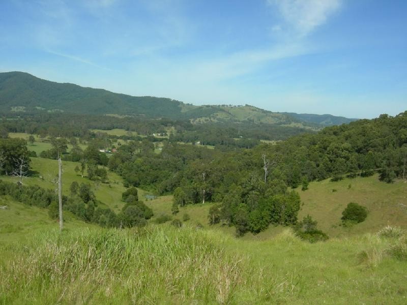Burrell Creek NSW 2429