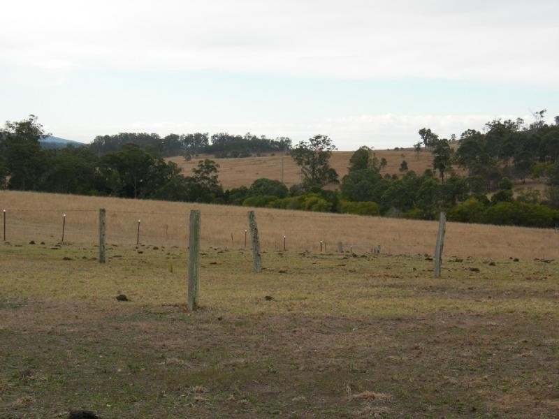 Bunyah NSW 2429