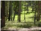 Rainbow Flat NSW 2430