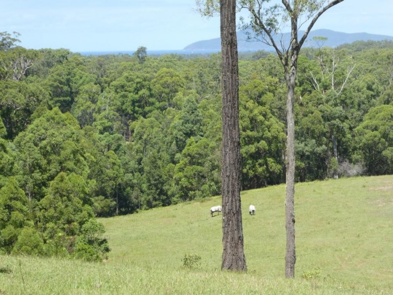 Rainbow Flat NSW 2430
