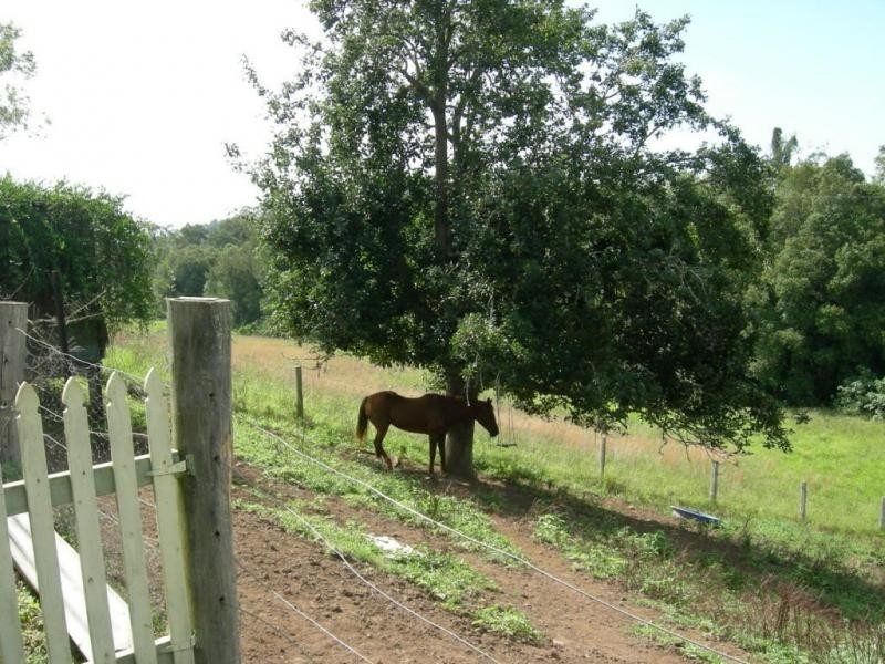 Dyers Crossing NSW 2429