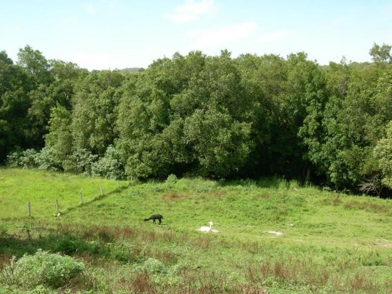 Dyers Crossing NSW 2429