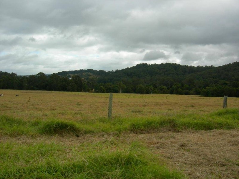 Firefly NSW 2429
