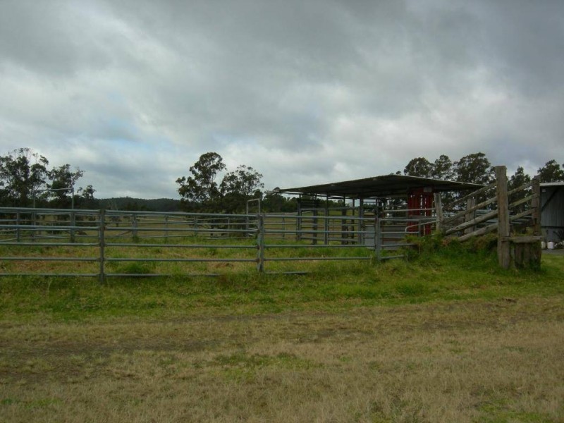 Firefly NSW 2429