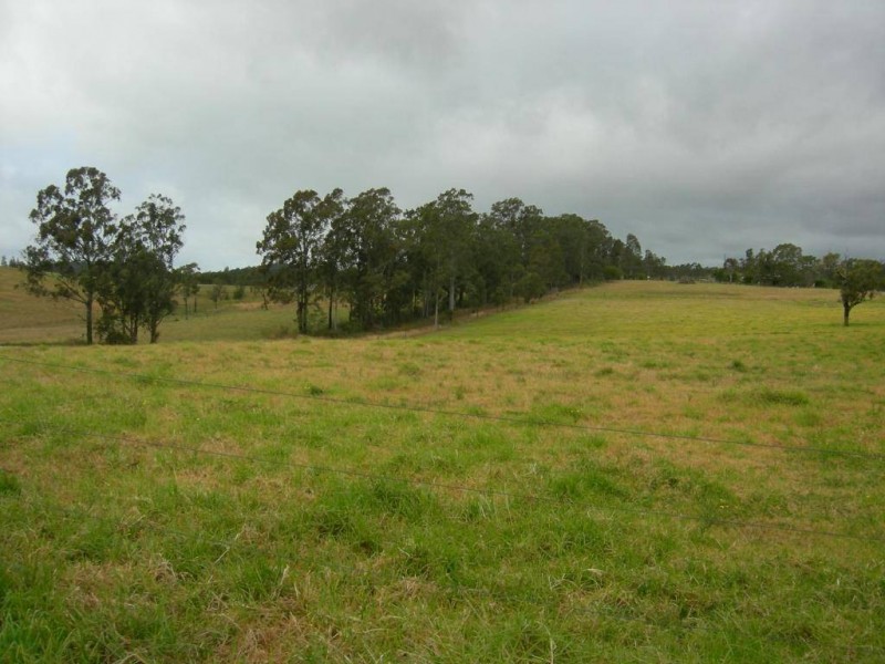 Firefly NSW 2429