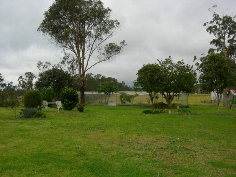 Firefly NSW 2429