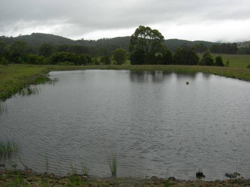 Possum Brush NSW 2430