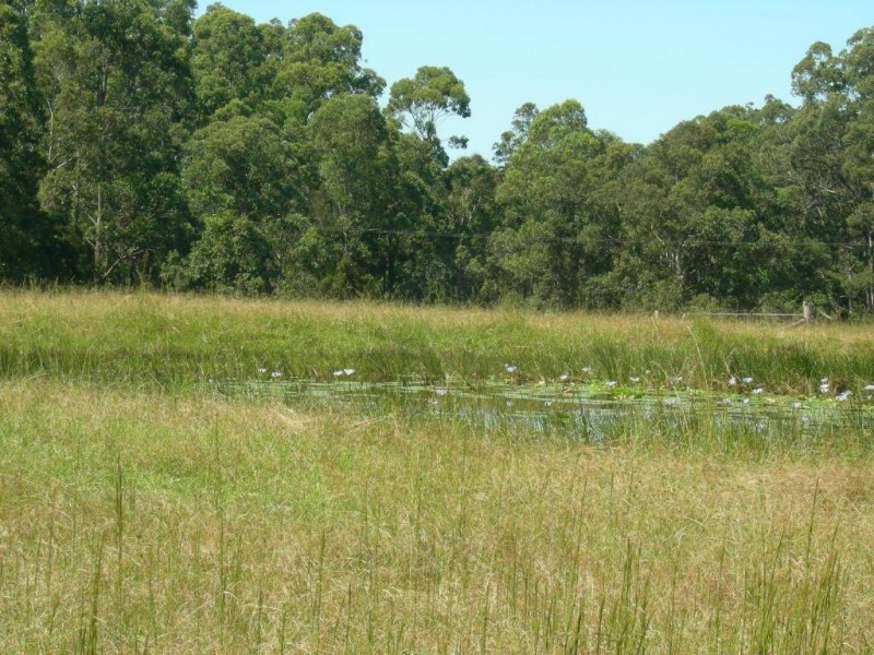 Possum Brush NSW 2430