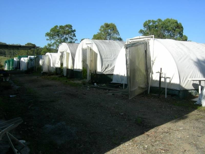 Taree NSW 2430