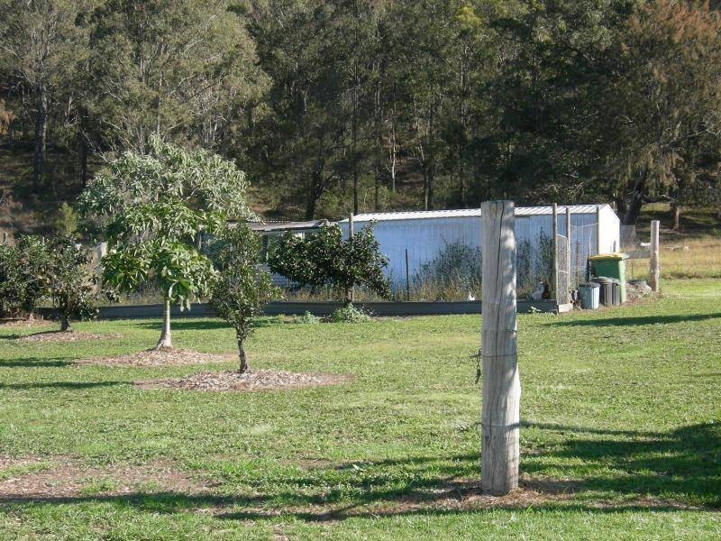 Firefly NSW 2429