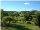 Firefly NSW 2429