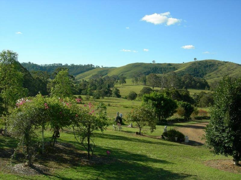 Firefly NSW 2429