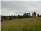Firefly NSW 2429