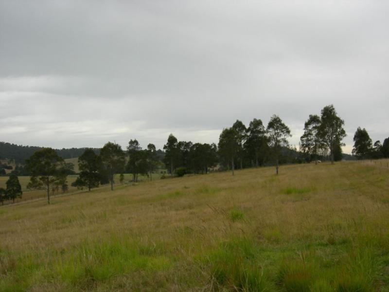 Firefly NSW 2429