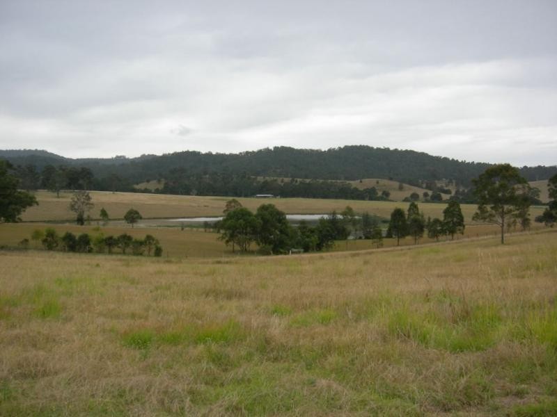 Firefly NSW 2429