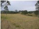 Firefly NSW 2429