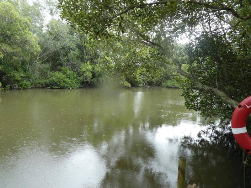 Jones Island NSW 2430