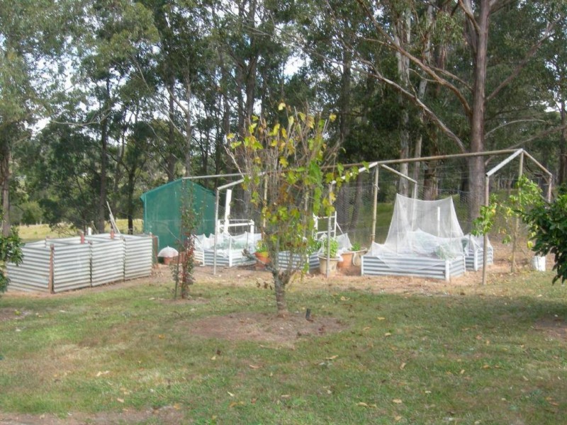 Bunyah NSW 2429
