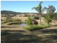 Firefly NSW 2429
