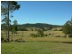 Firefly NSW 2429