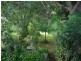 Krambach NSW 2429