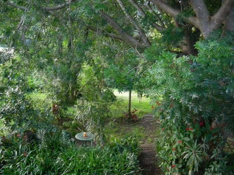 Krambach NSW 2429