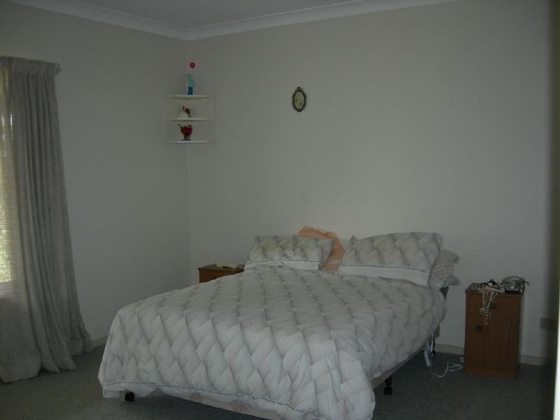 Firefly NSW 2429