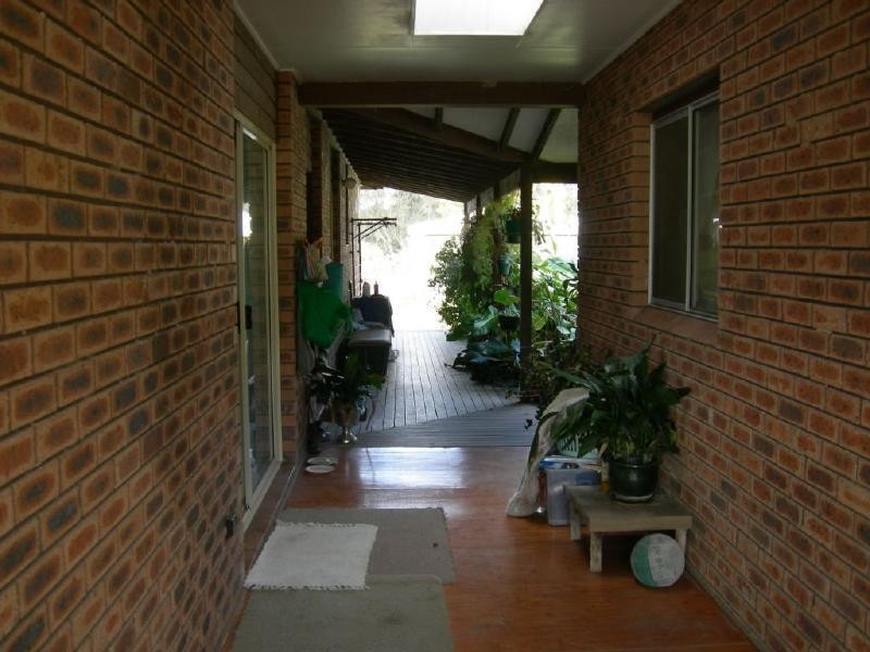 Firefly NSW 2429