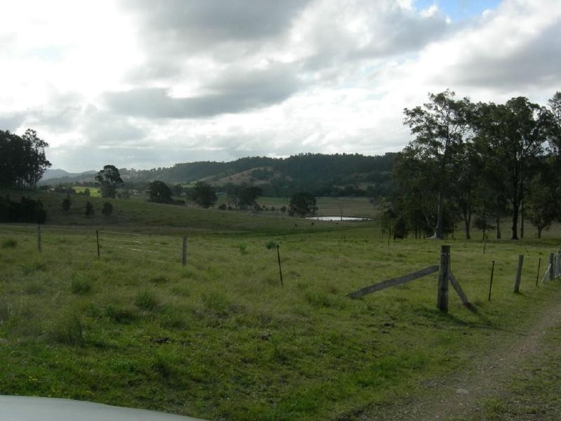 Firefly NSW 2429