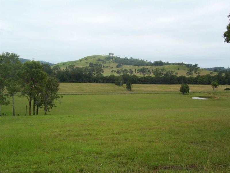Burrell Creek NSW 2429