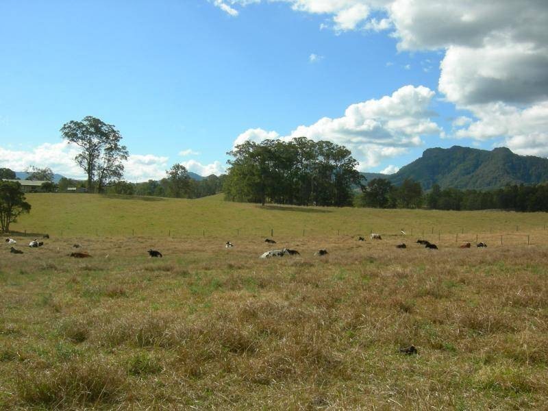 Upper Lansdowne NSW 2430