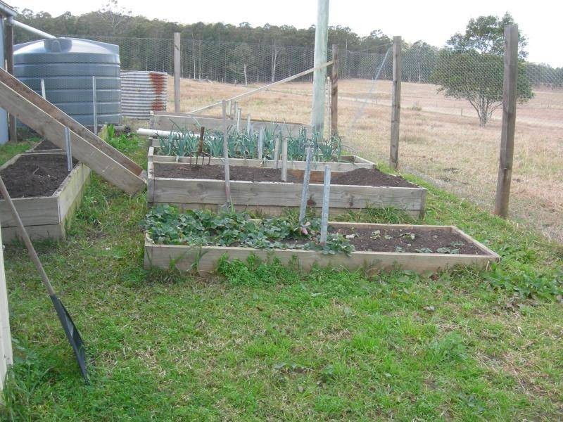 Upper Lansdowne NSW 2430