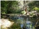 Burrell Creek NSW 2429