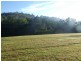 Burrell Creek NSW 2429