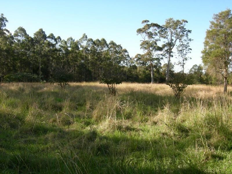 Nabiac NSW 2312