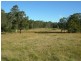 Wang Wauk NSW 2423