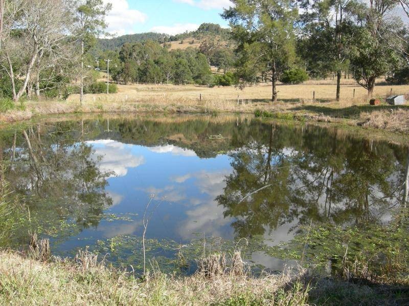 Burrell Creek NSW 2429